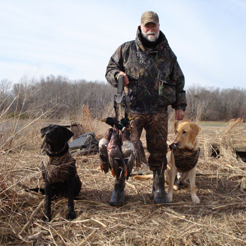 Waterfowl hunter with game and dogs